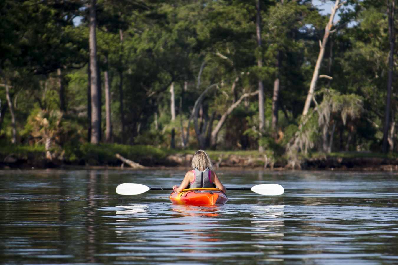 Explore by kayak