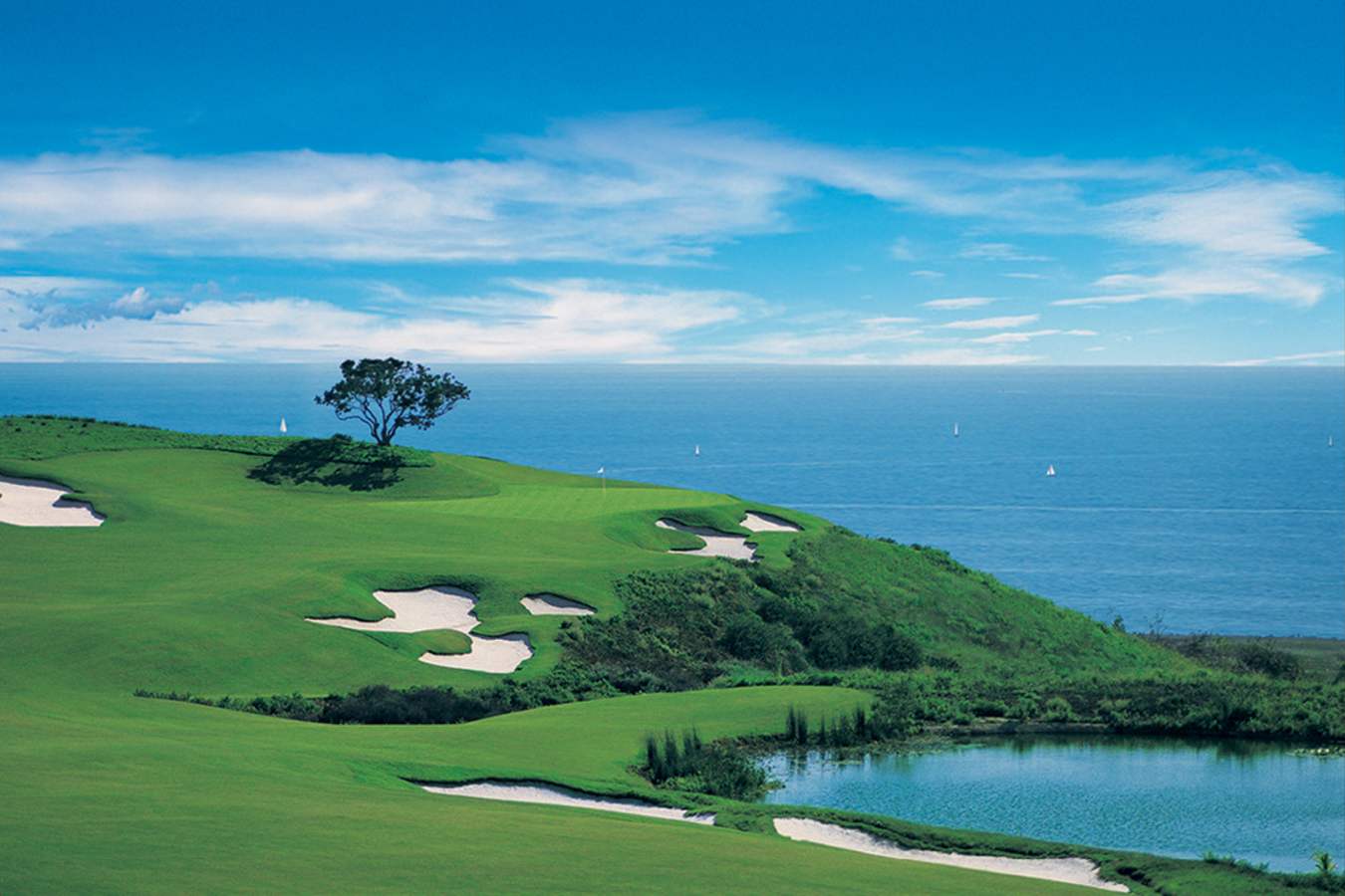 Golf course - Resort at Pelican Hill