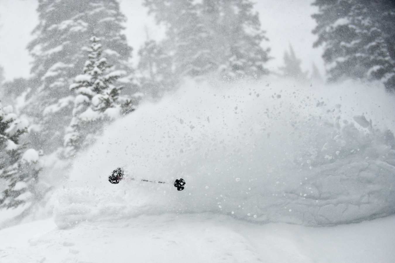 Powder - Scarp Ridge Lodge