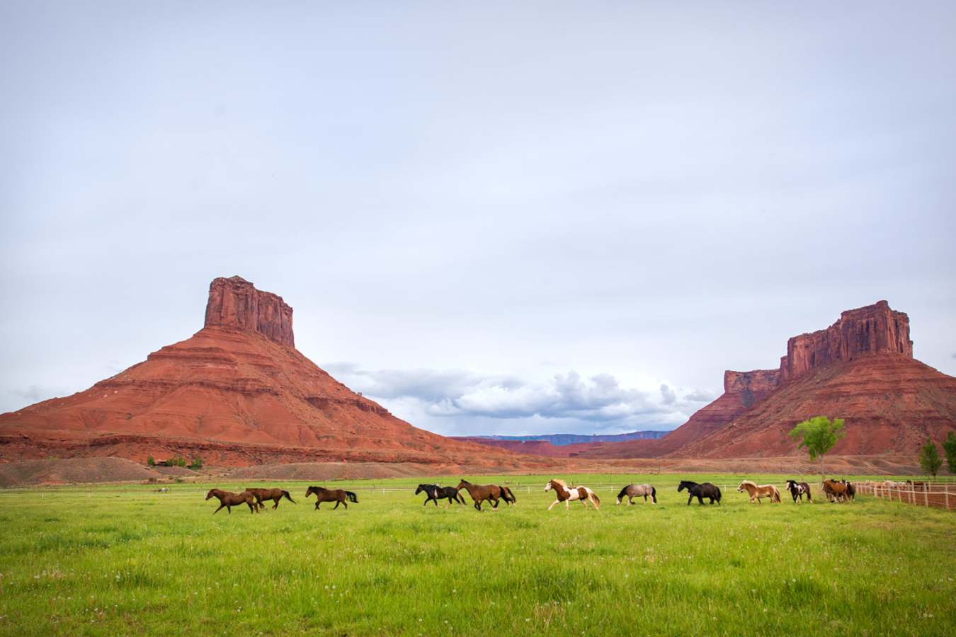 Horses - Sorrel River Ranch
