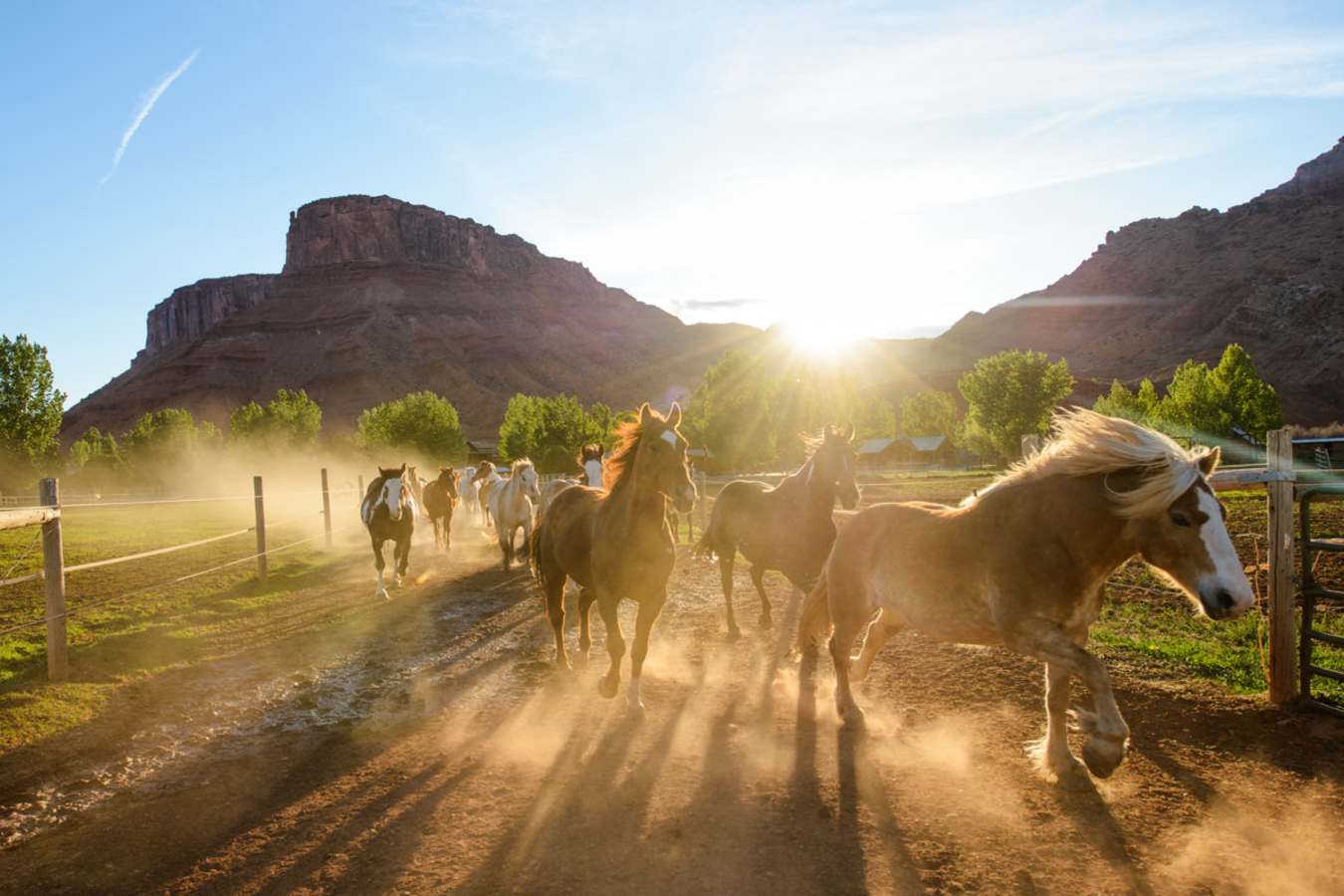 Horses returning - Sorrel River Ranch