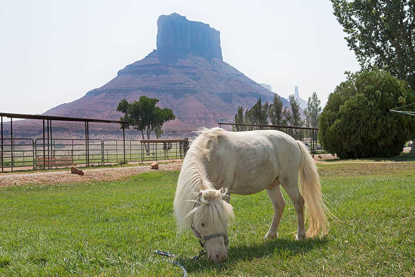 Surrounding Views - Sorrel River Ranch