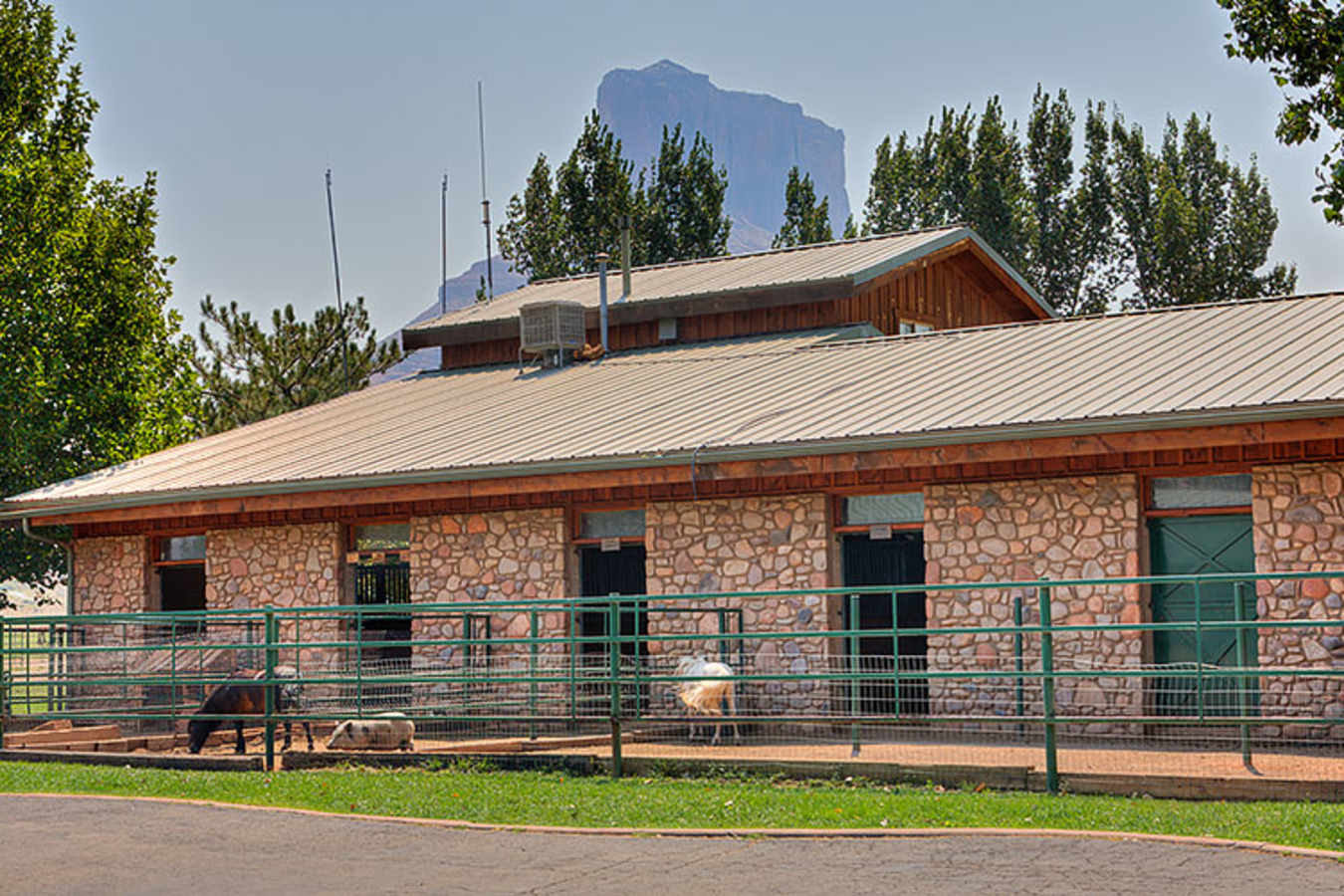 Petting Zoo at Sorrel - Sorrel River Ranch
