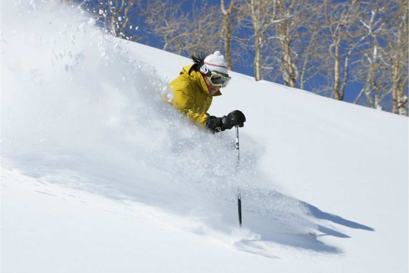 Skier - St Regis Deer Valley