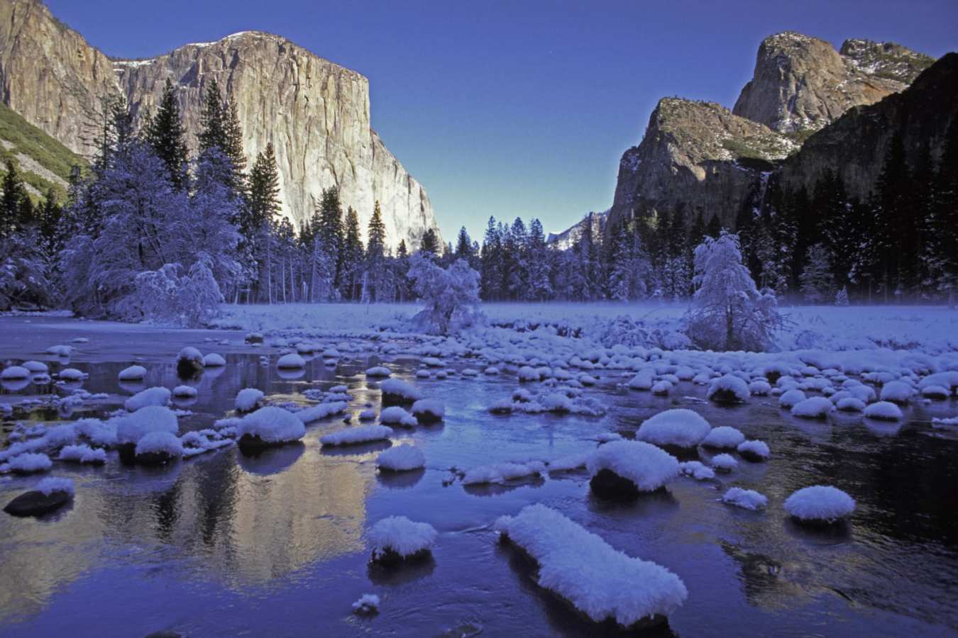 Yosemite Valley Floor