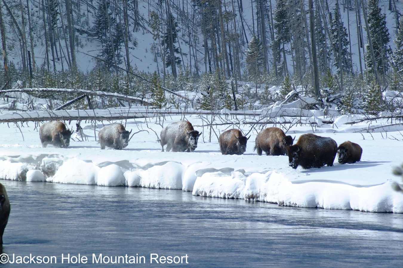 Jackson Hole - Teton Mountain Lodge & Spa