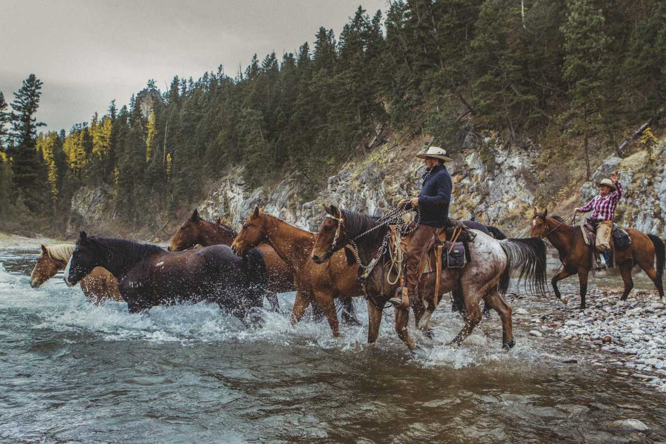 Horse Riding - The Green O