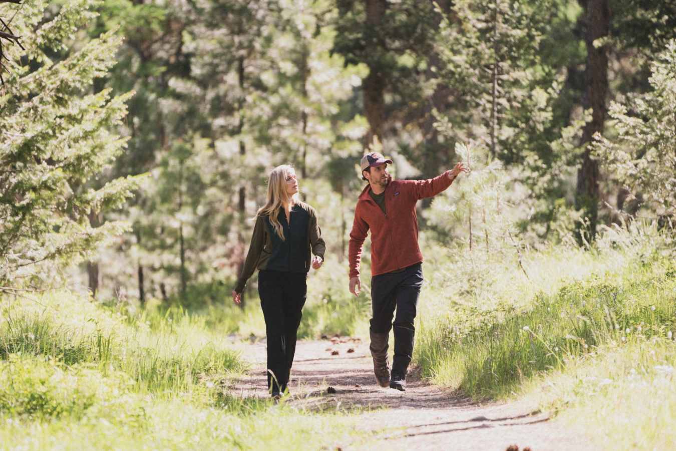Forest Walks - The Green O