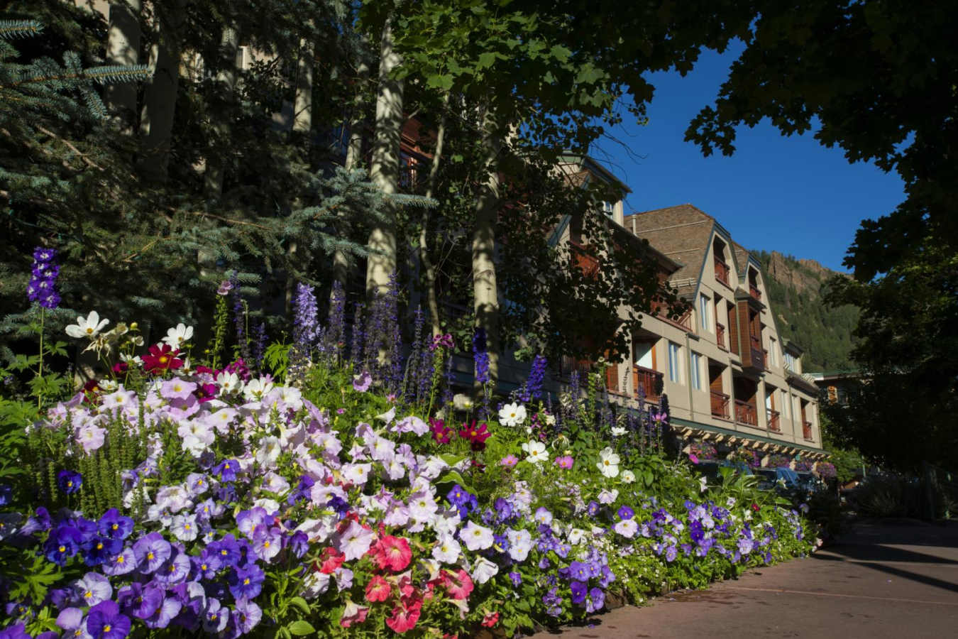Summer at The Little Nell - The Little Nell, Aspen