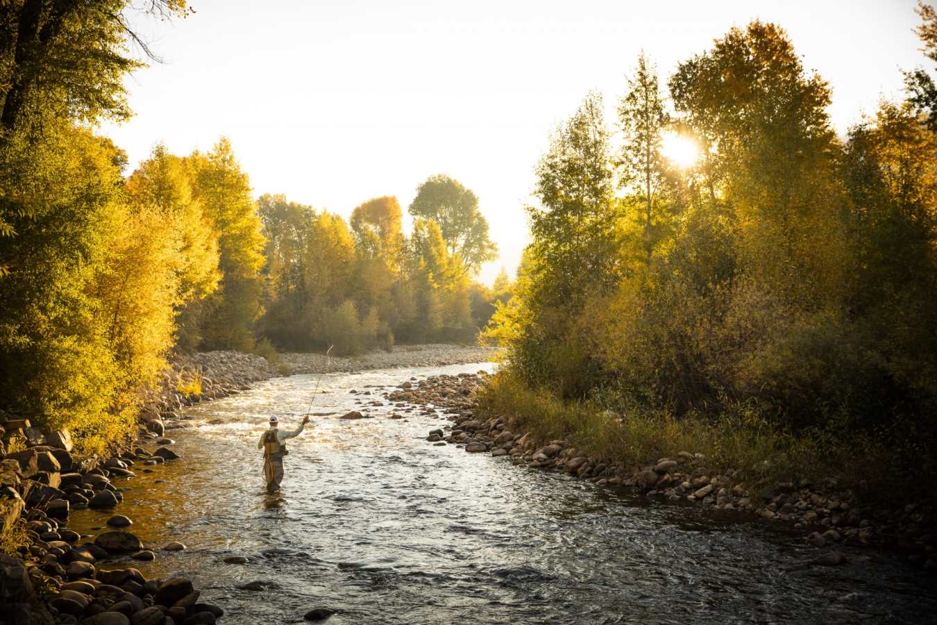 Fly Fishing