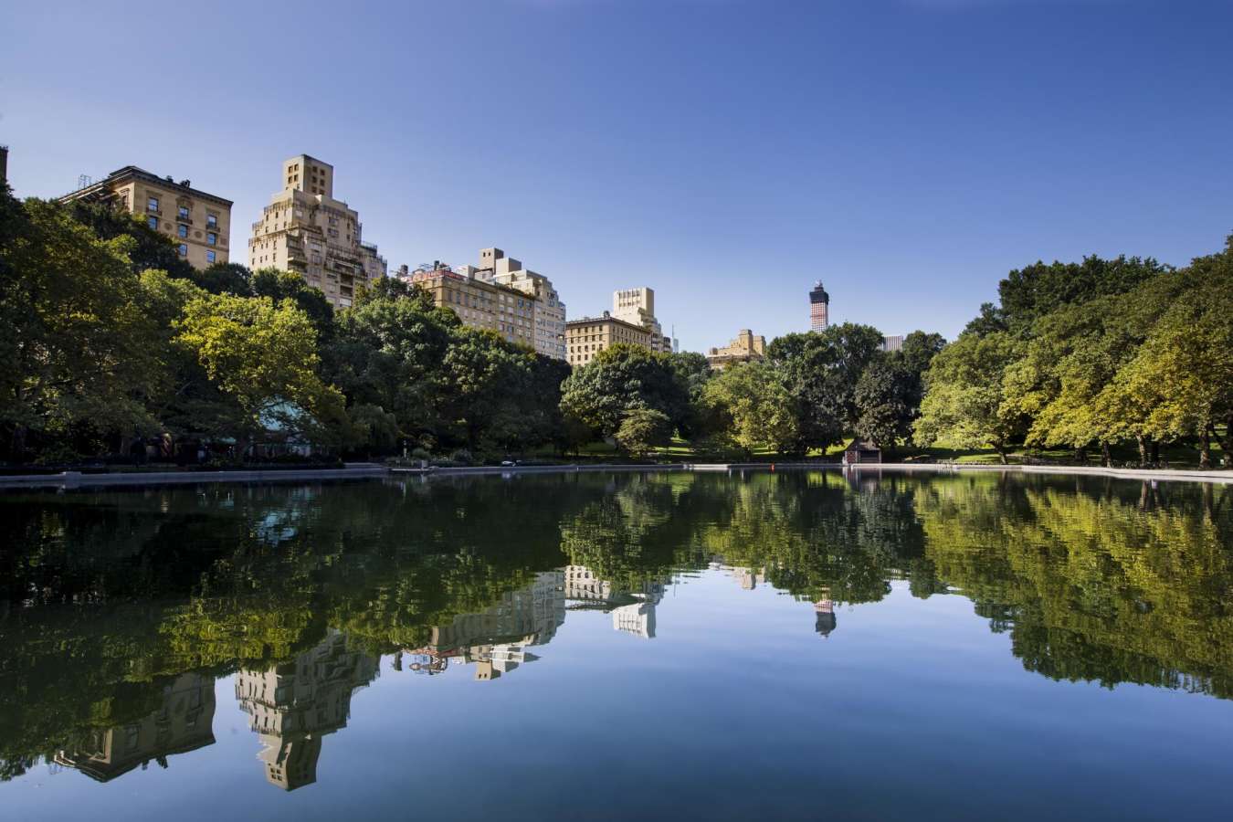 Central Park - The Mark