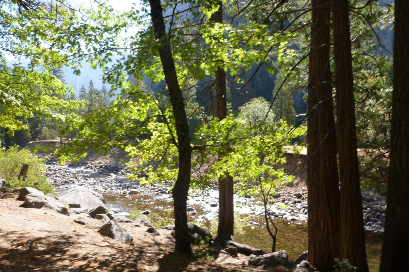 Rivers and Creeks - The Redwoods in Yosemite