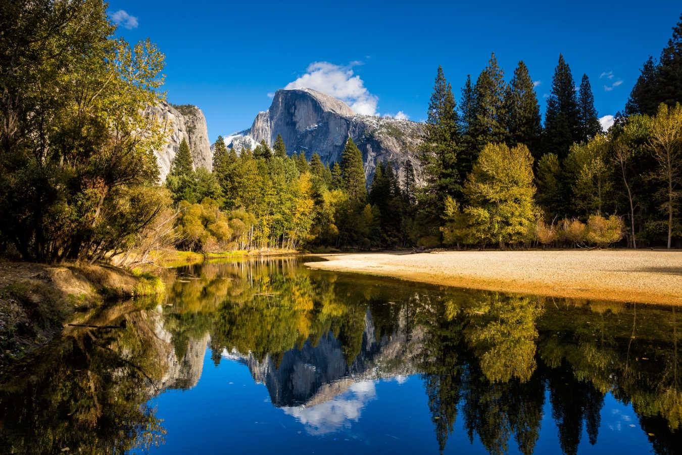 Yosemite scenery - The Redwoods in Yosemite