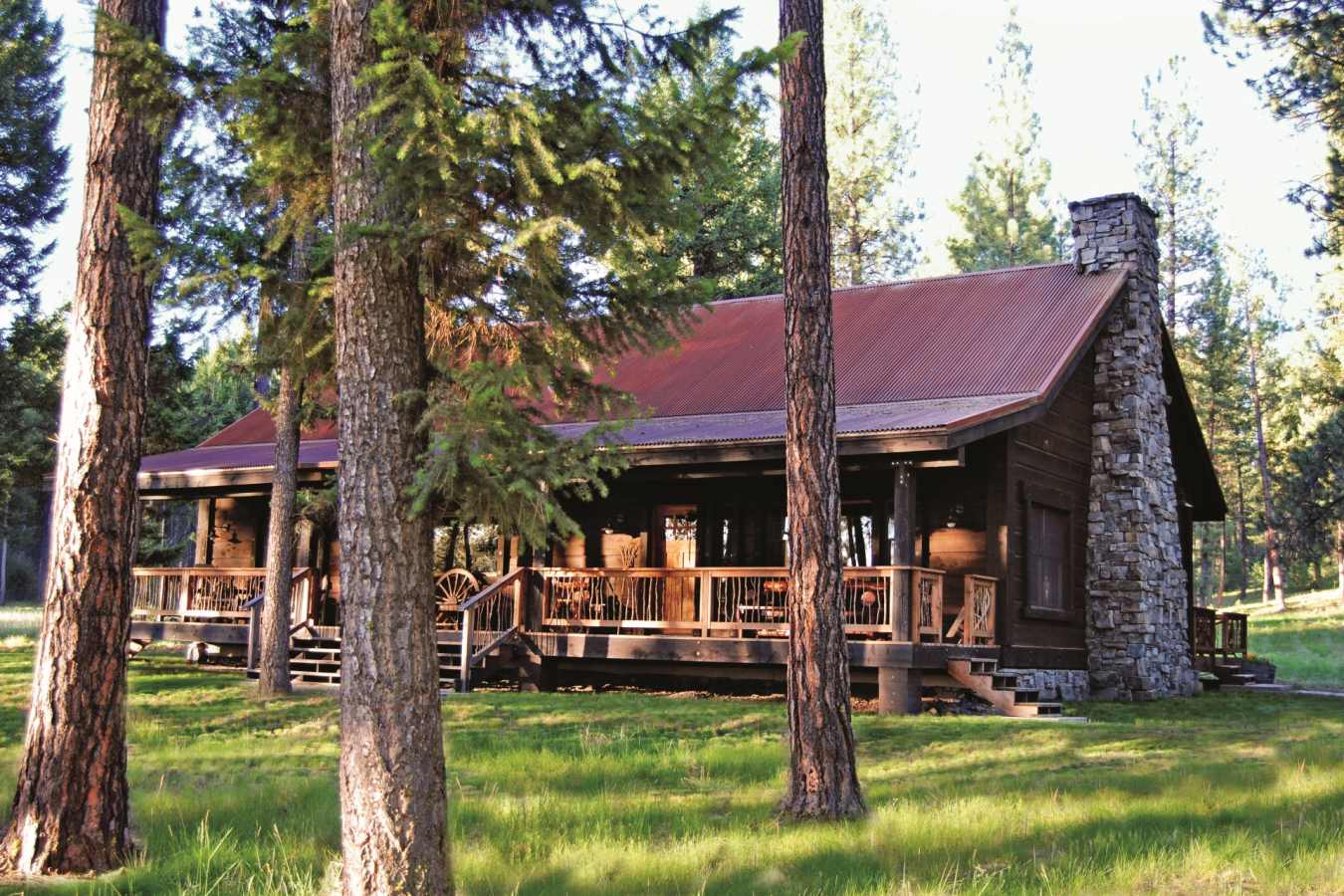 Ponderosa Pine