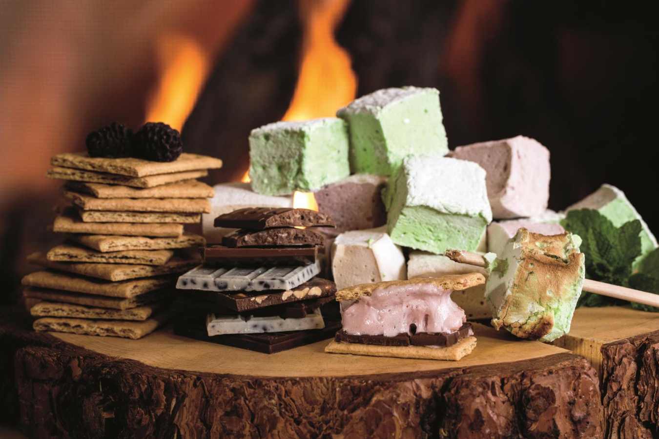 S'mores - Ritz Carlton Lake Tahoe