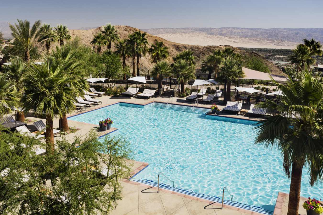 Pool - Ritz Carlton Rancho Mirage 