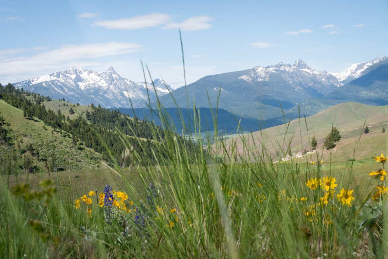 Local Scenery - Triple Creek Ranch