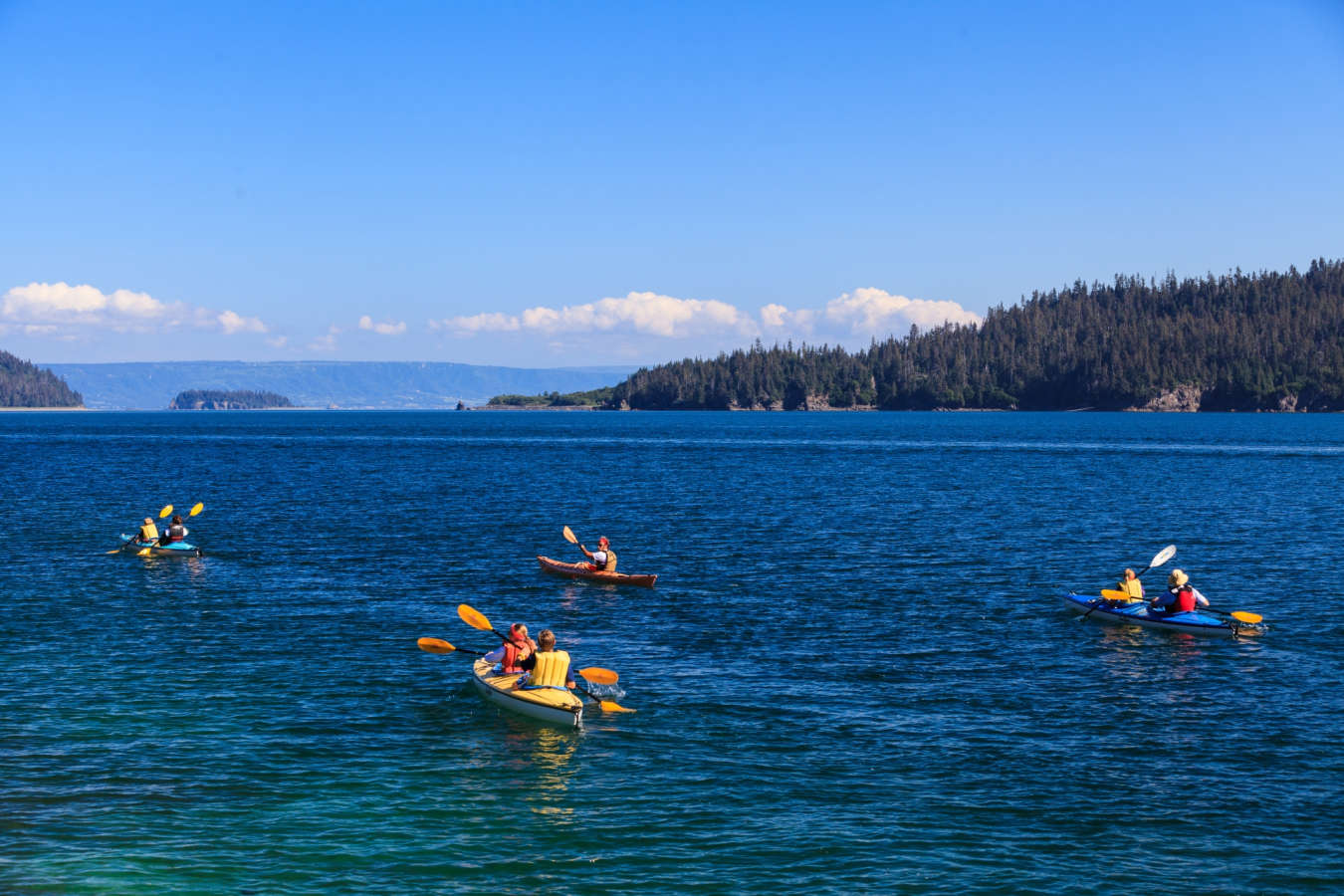 Sea Kayaking - Tutka Bay Lodge