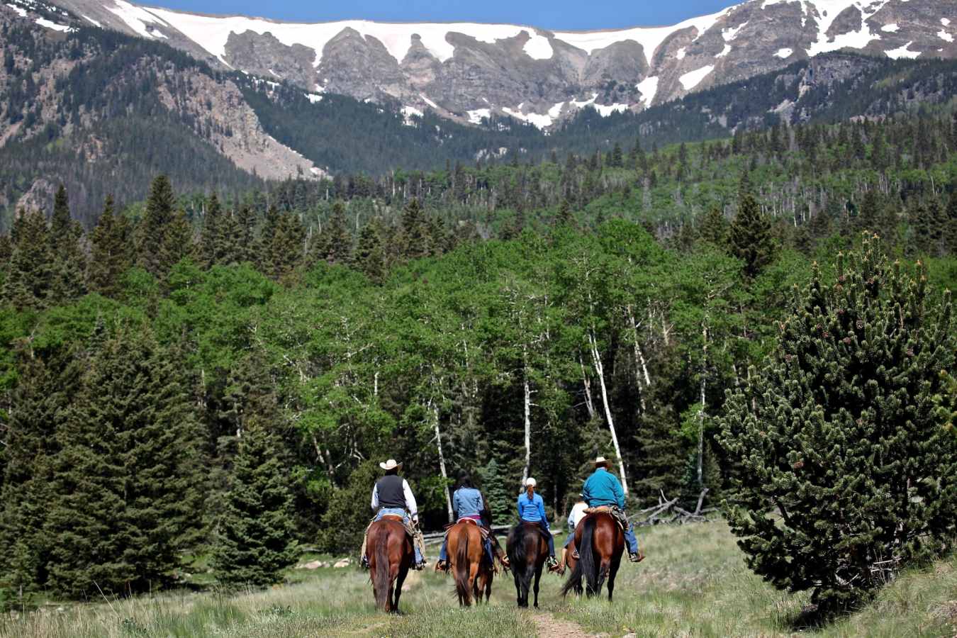 Horse Riding at Vermejo