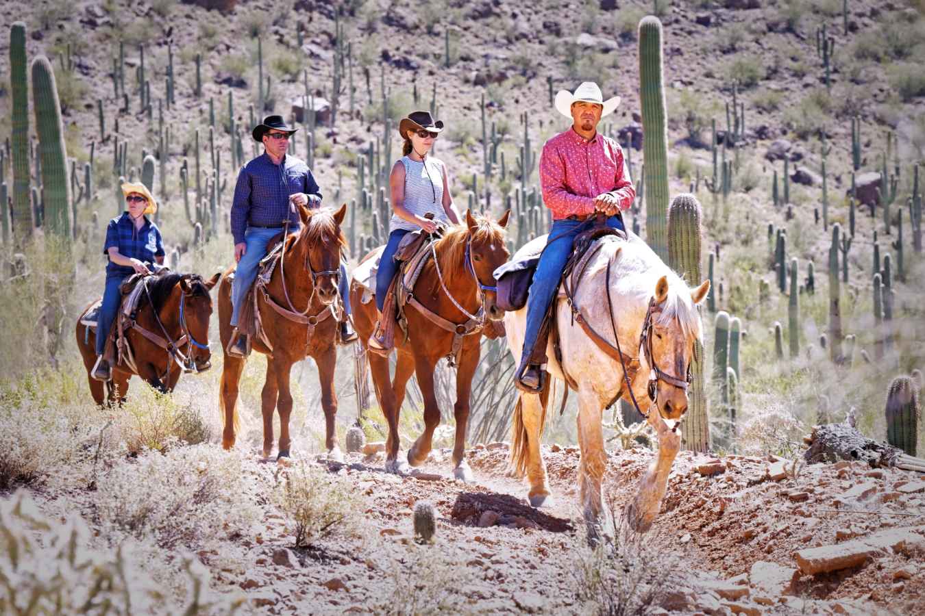 Horse Riding at White Stallion - White Stallion Ranch