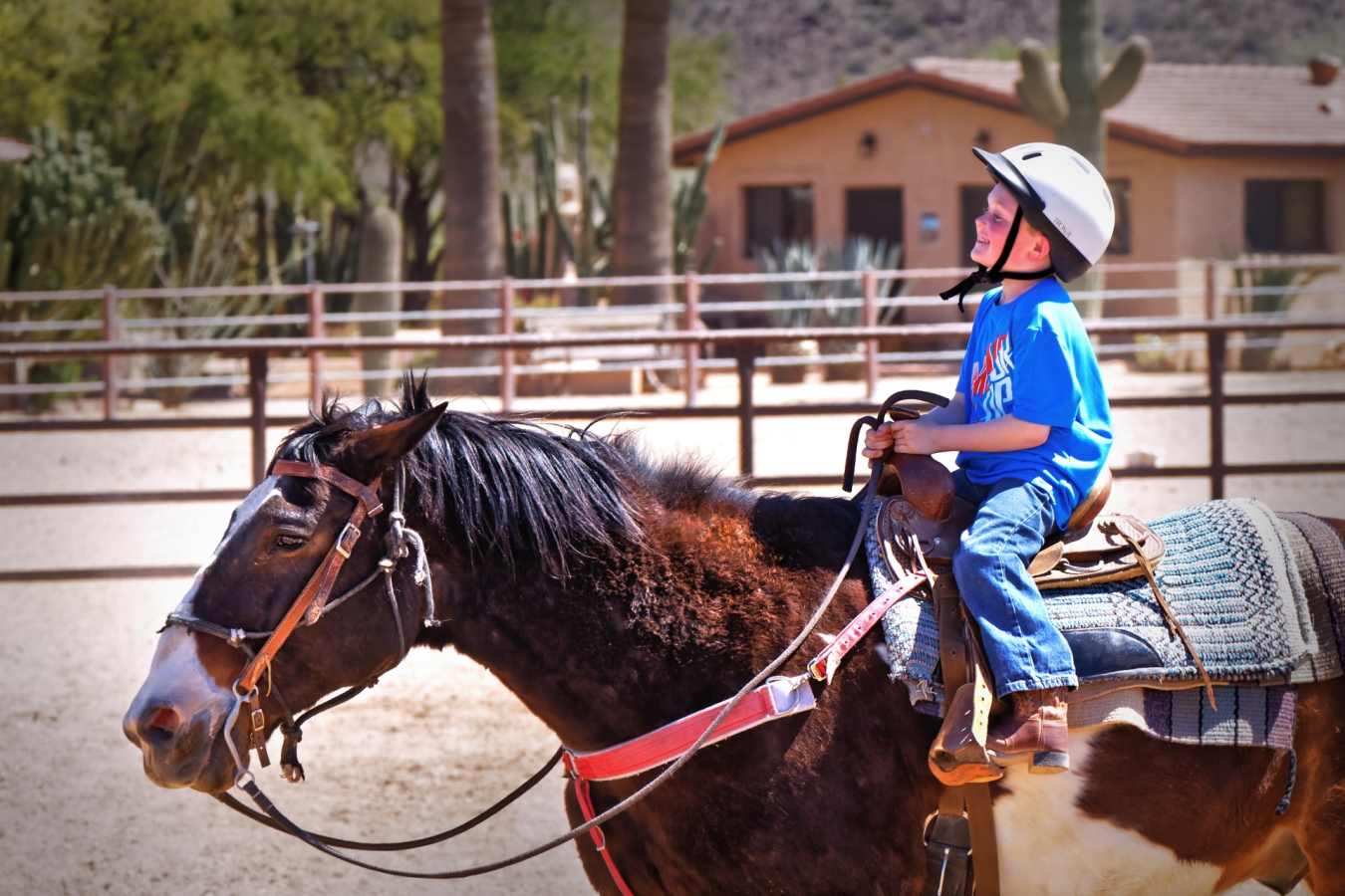 Horse Riding at White Stallion - White Stallion Ranch