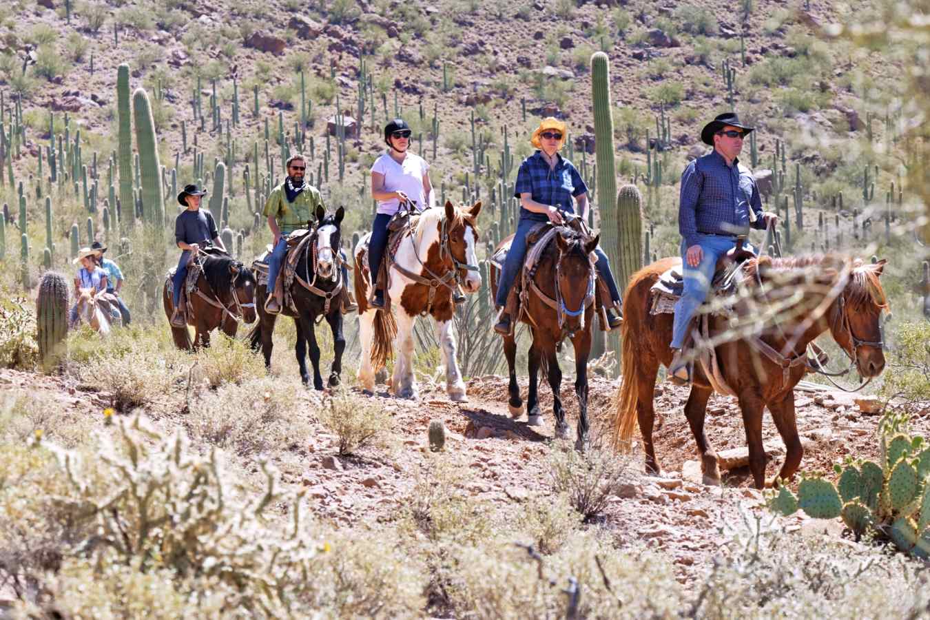 Trail Riding - White Stallion Ranch
