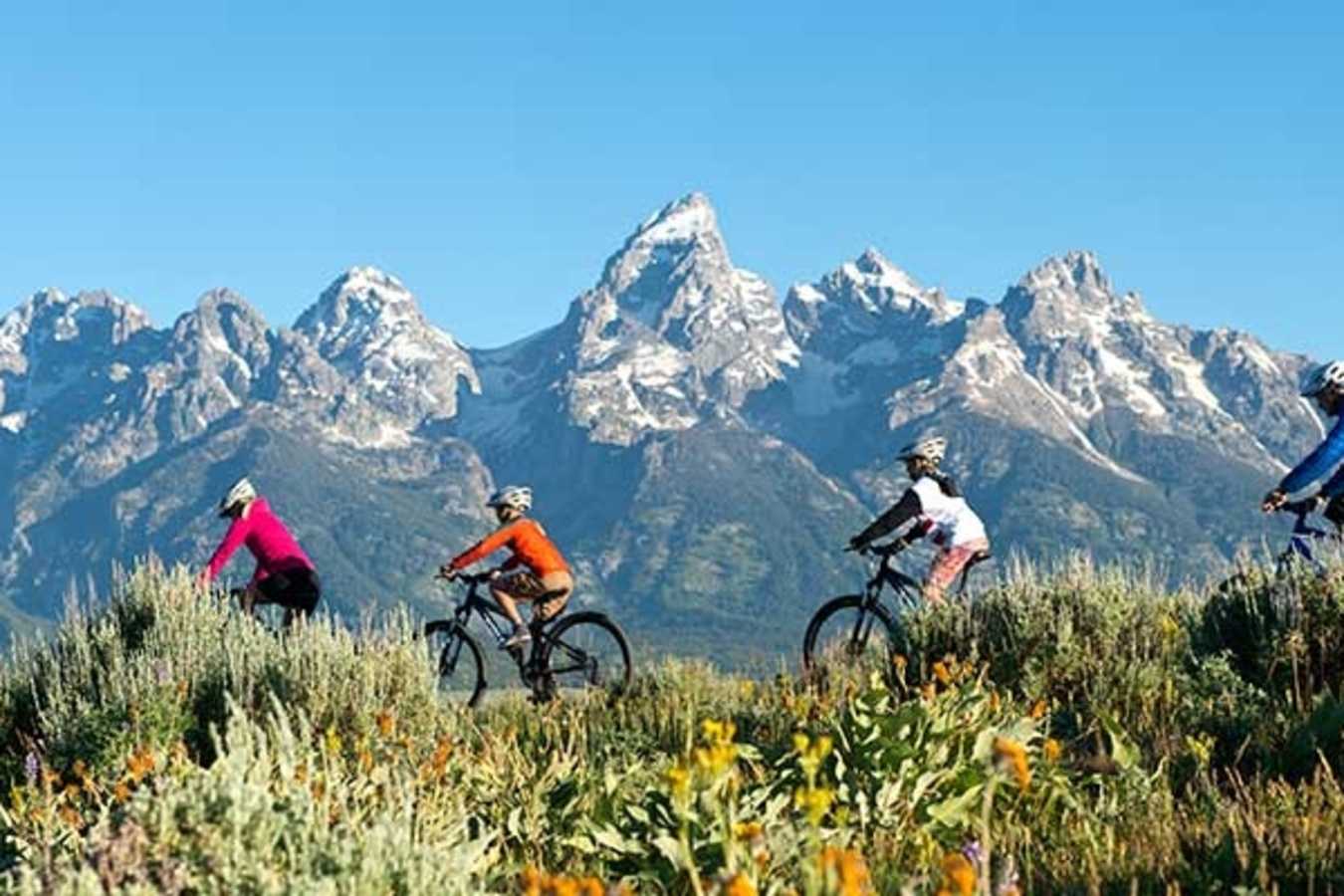 Mountain biking in Grand Teton