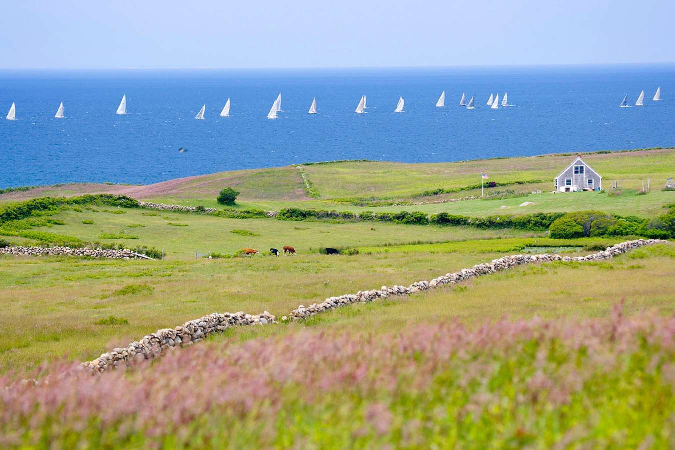 Coastal views - Gourmet New England