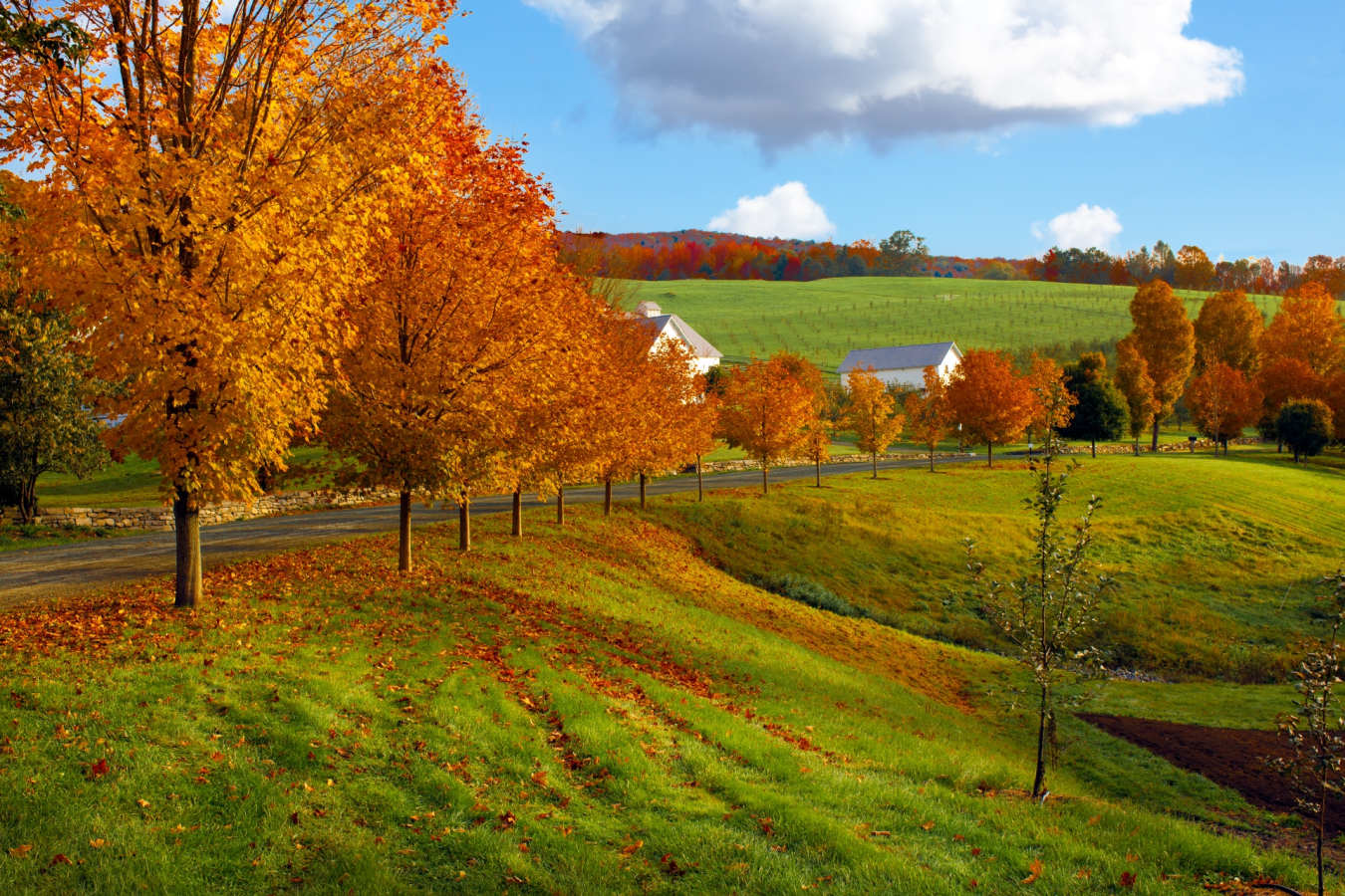 Vermont - New England for Couples