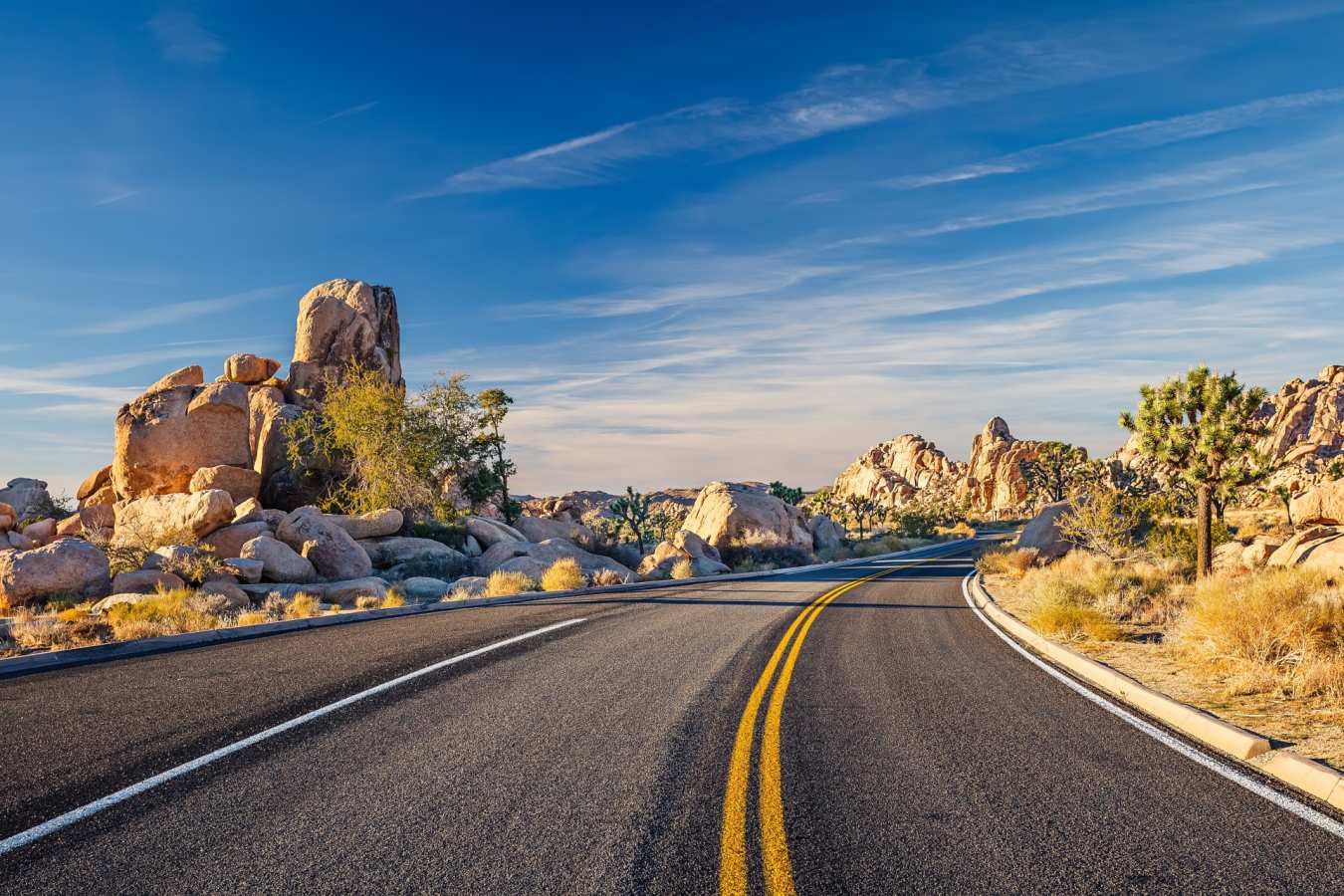 Joshua Tree National Park - Southern California Road Trip