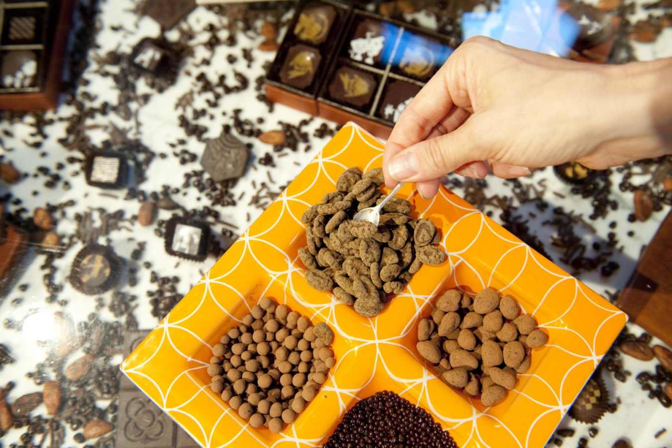 Chocolate tasting - Gourmet road trip