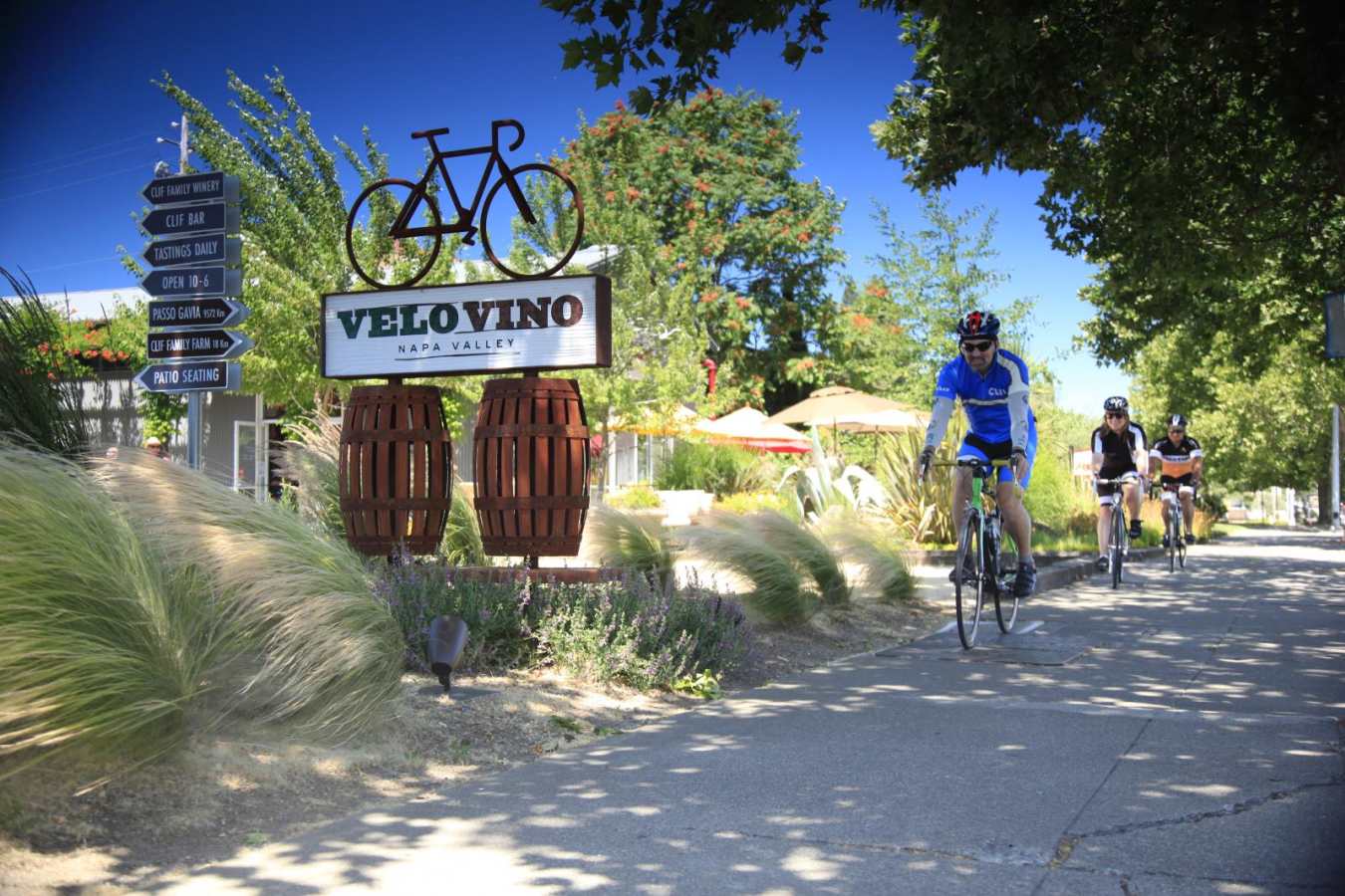 Bike tours in Napa - San Francisco, Napa & Sonoma