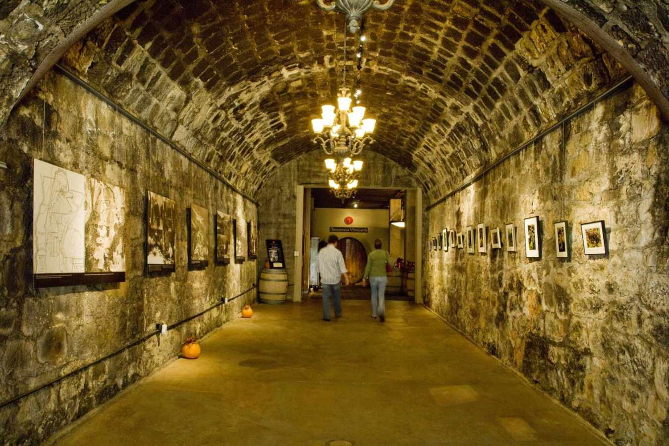 Wine cellar exploring - San Francisco, Napa & Sonoma