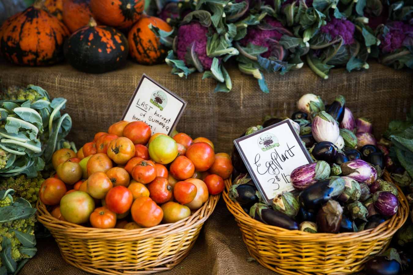 Farmers Market - Gourmet California