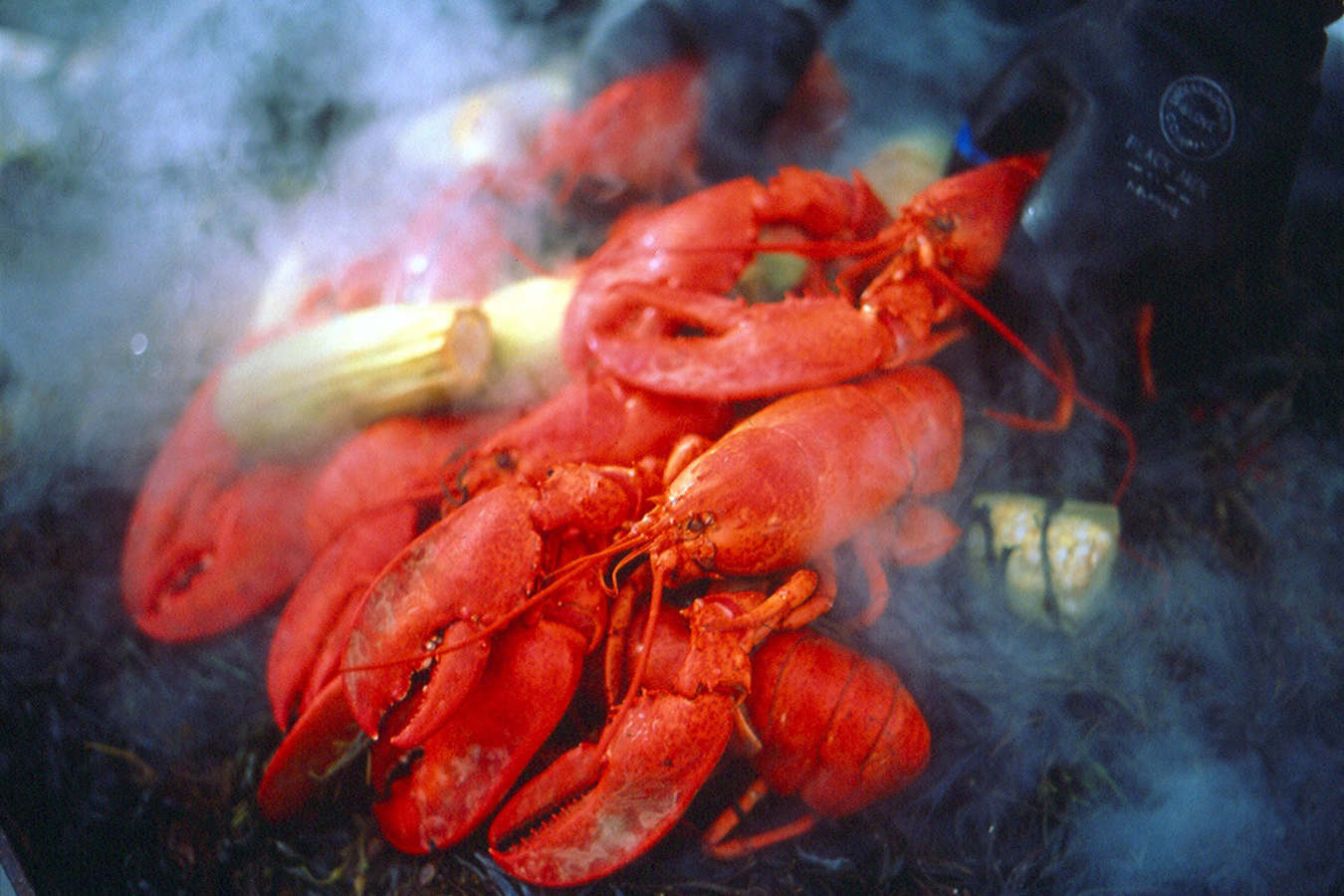 Lobster Yard Bake - Simply New England Family Summer Holiday