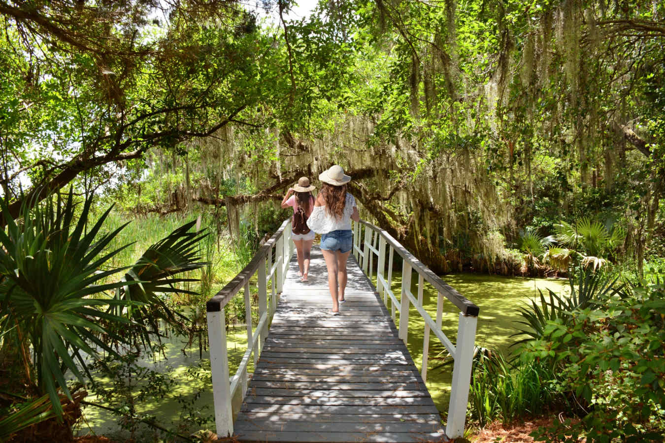 Magnolia Plantation and Gardens