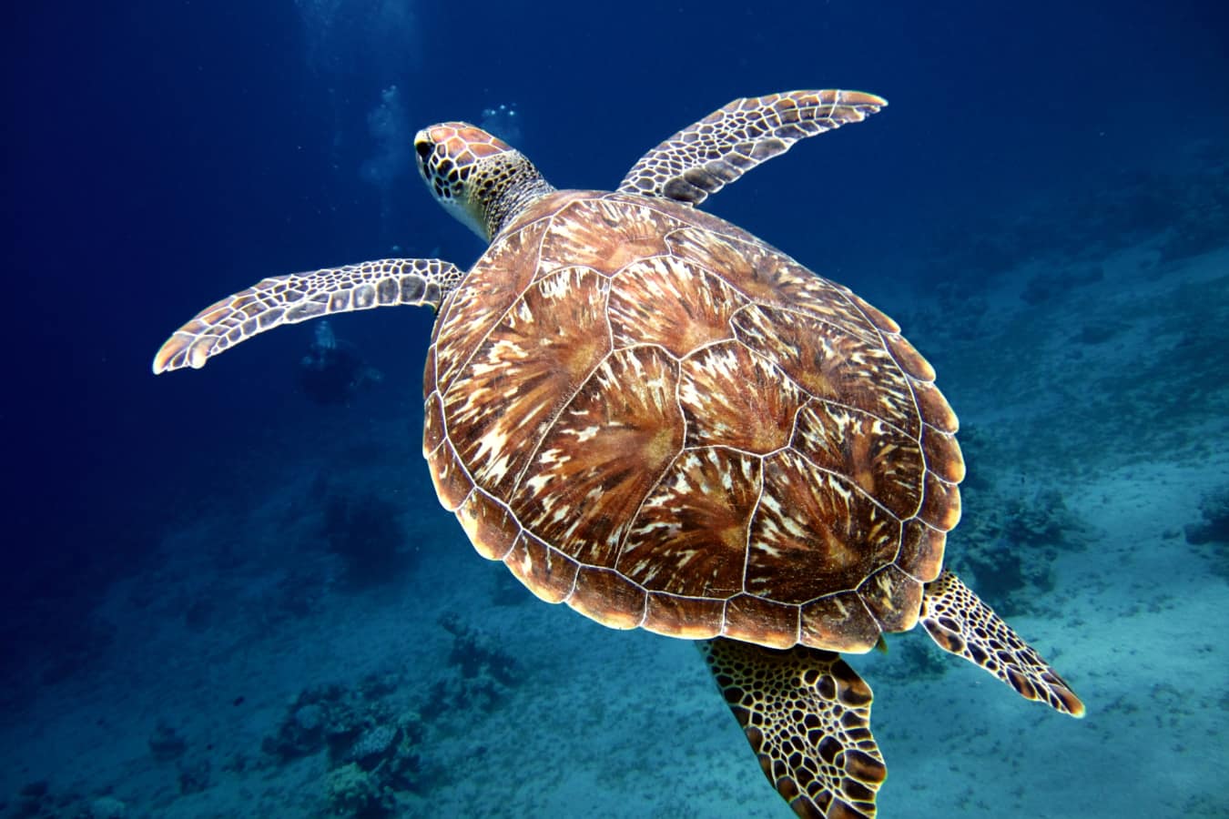 Florida Keys