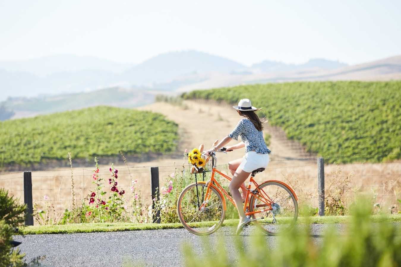 Carneros Bicycles