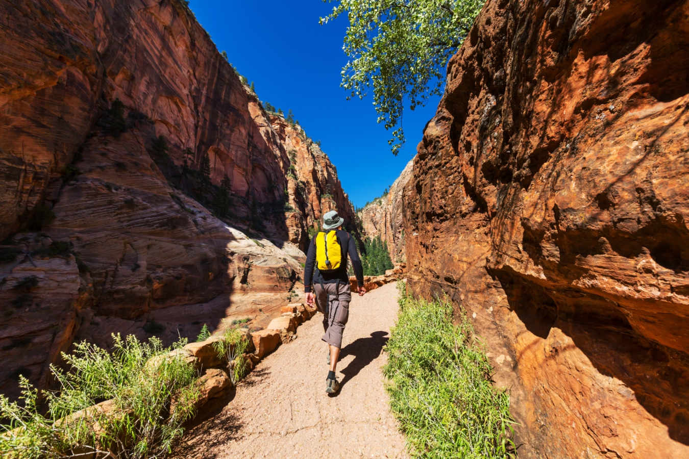 Moab National Park