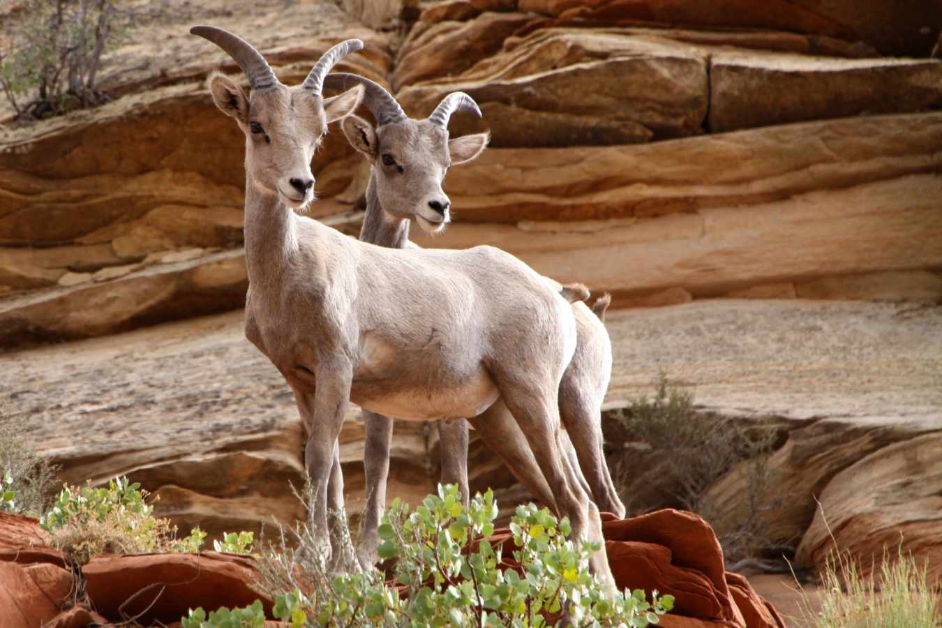 Moab National Park