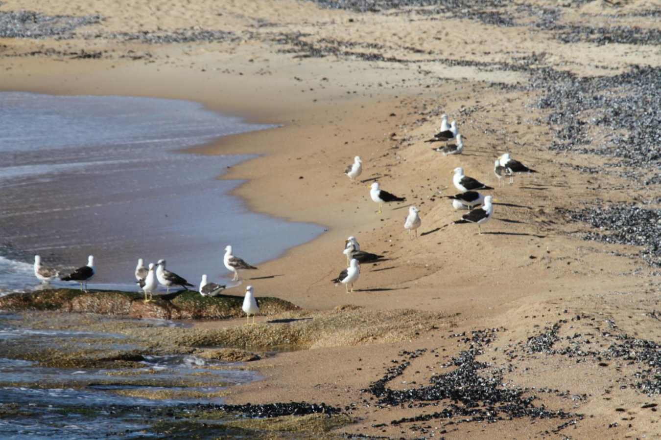 Beach - Bahia Vik