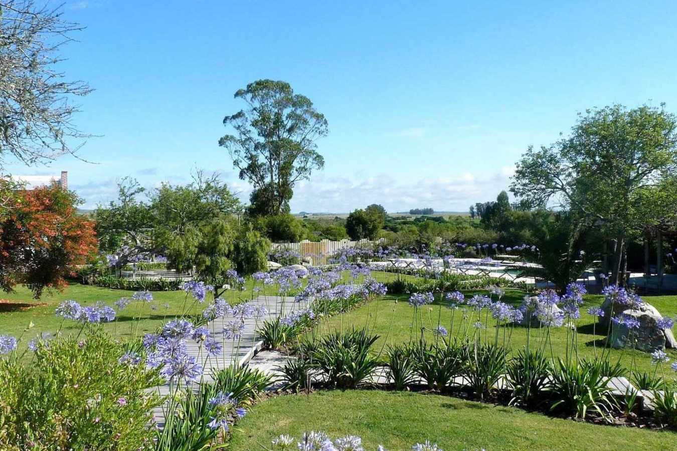 Gardens - Casa Ana