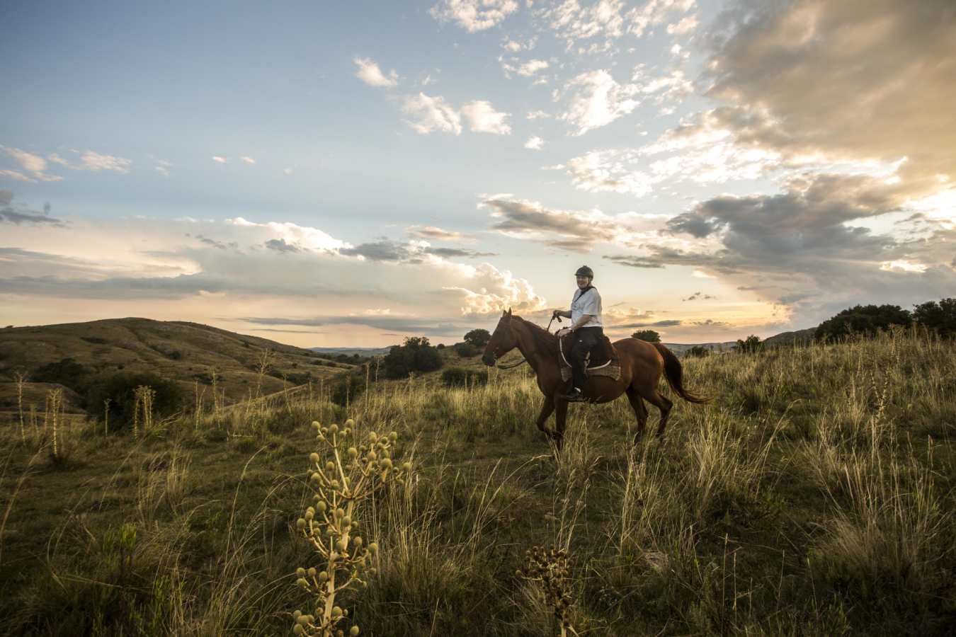 El Balcon Del Abra - Horse Riding 