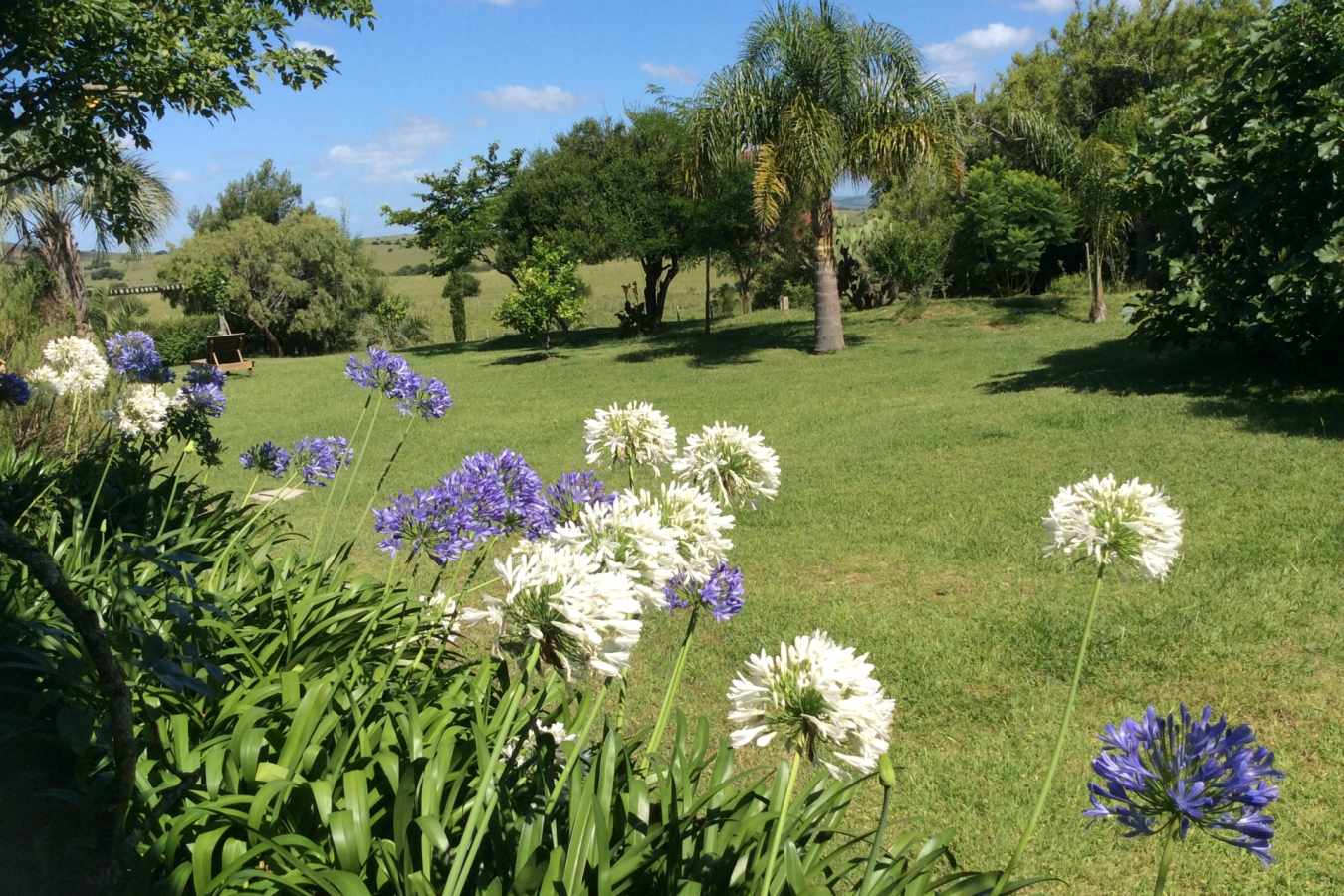 El Balcon Del Abra - Gardens 