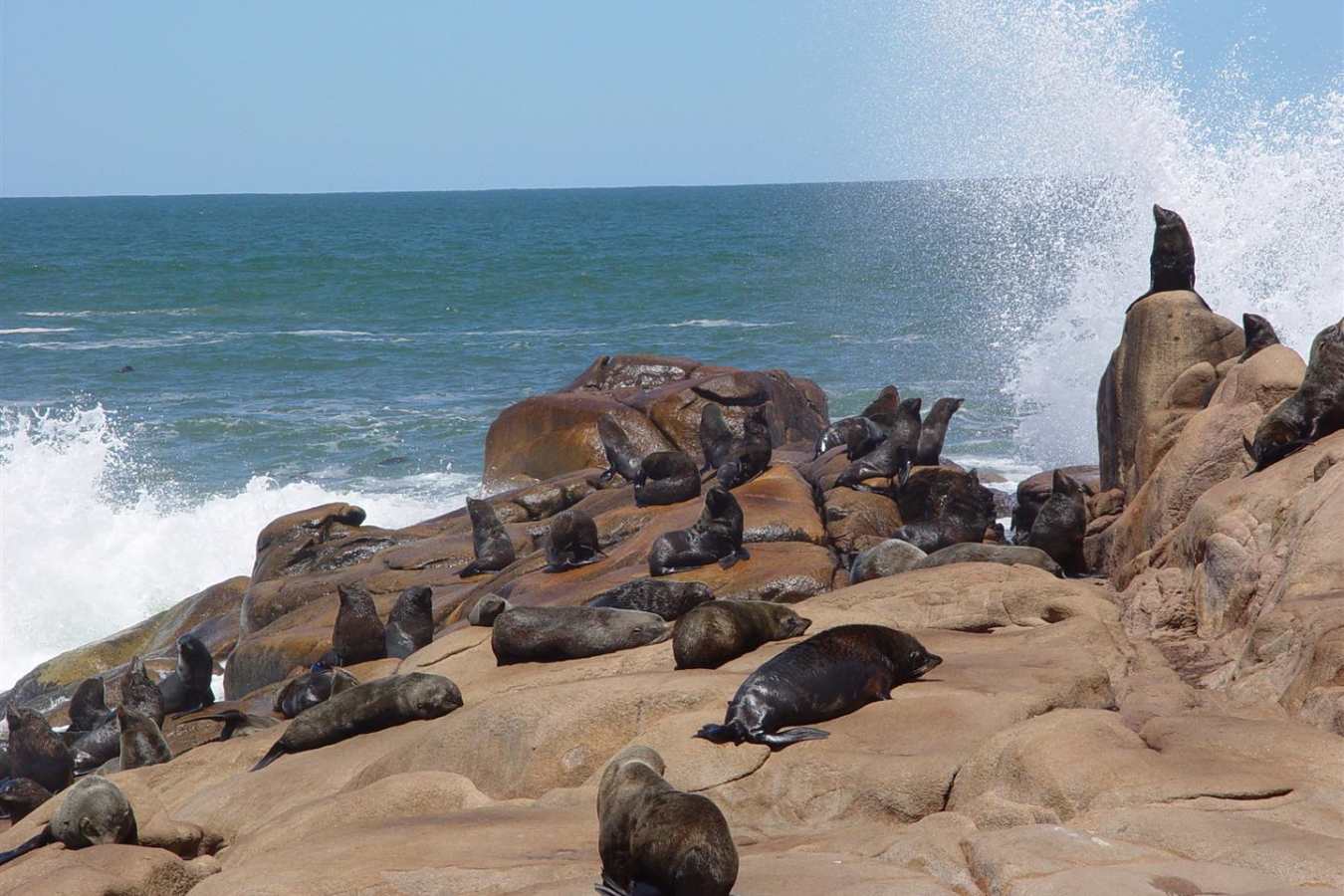 Family Fun in Uruguay