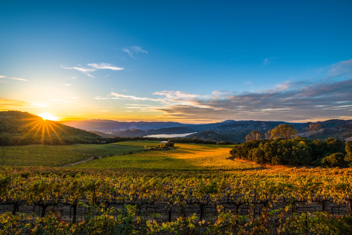 Napa Valley