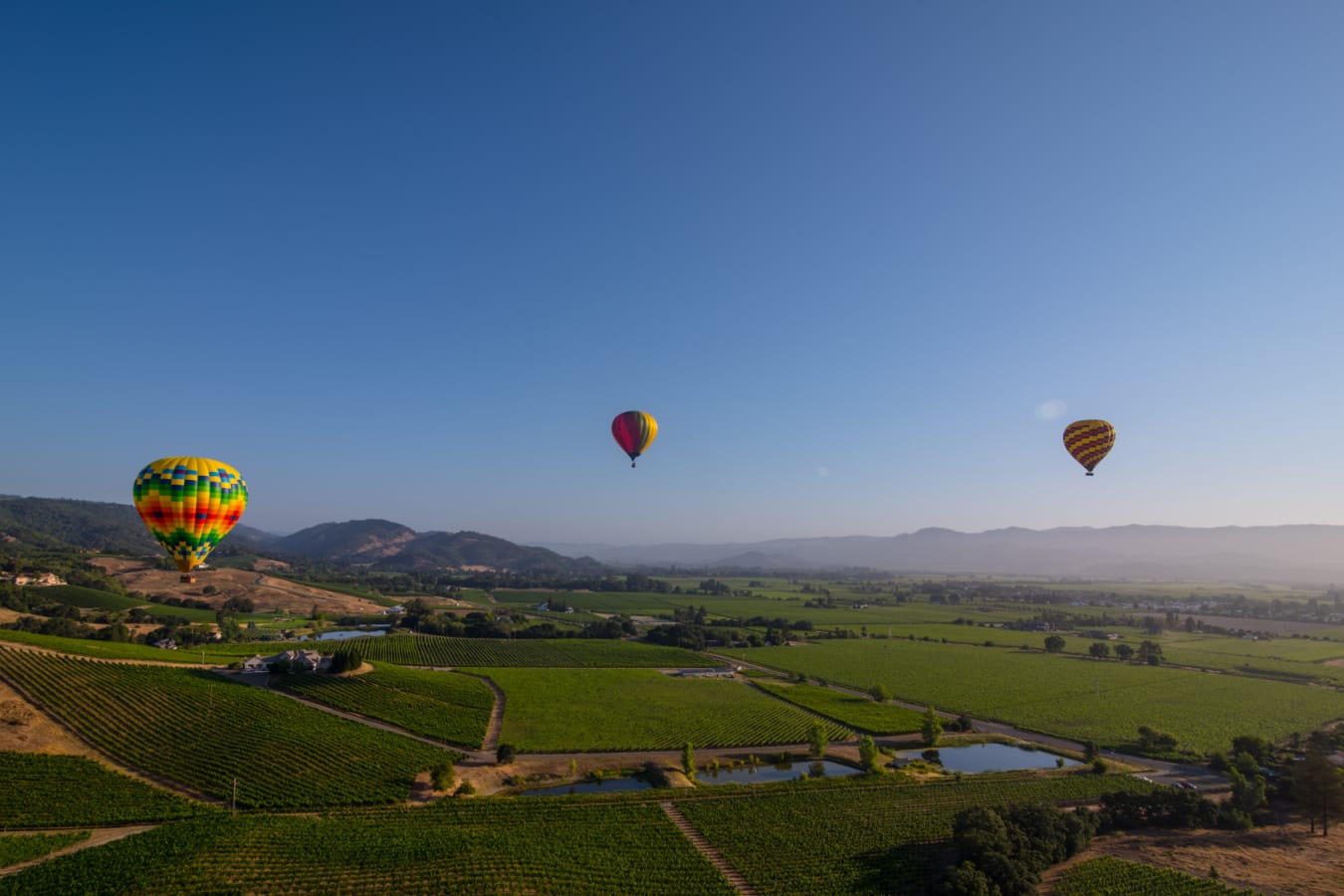 Napa Valley hot air balloons