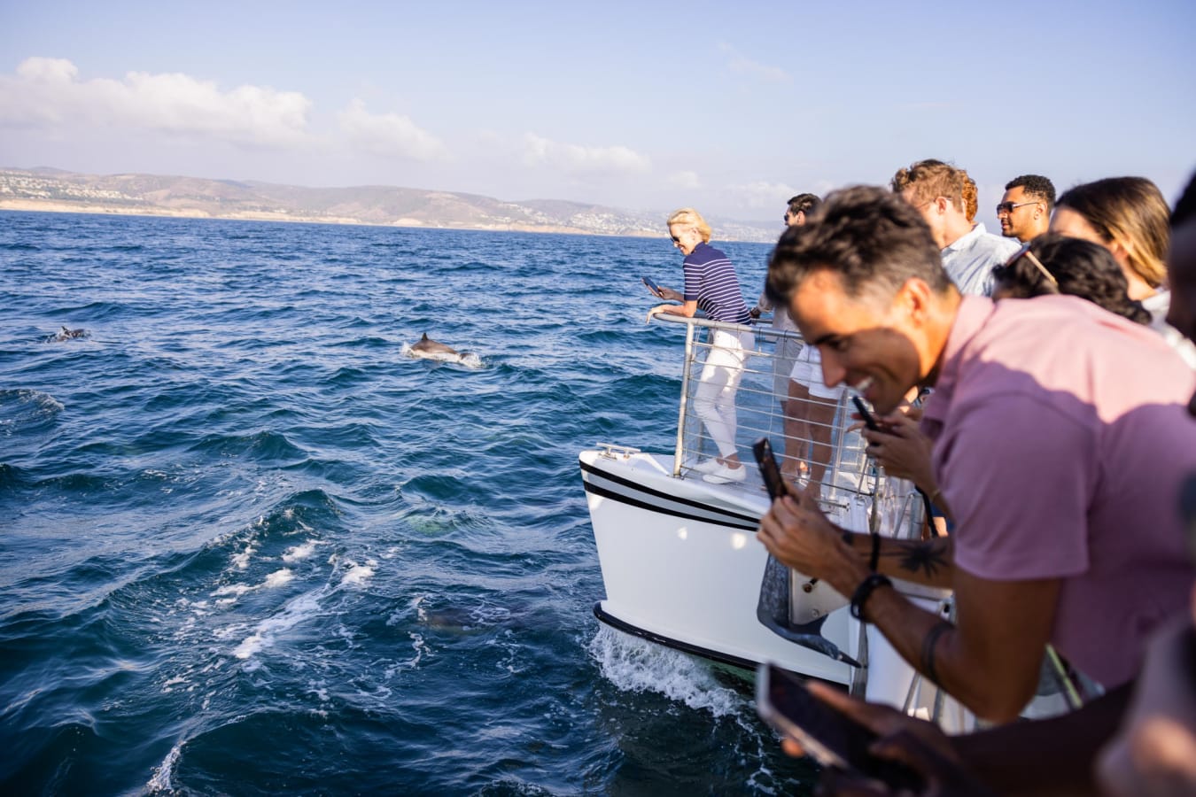 Whale watching Newport Beach 