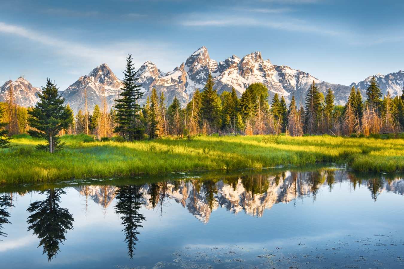 Yellowstone national park