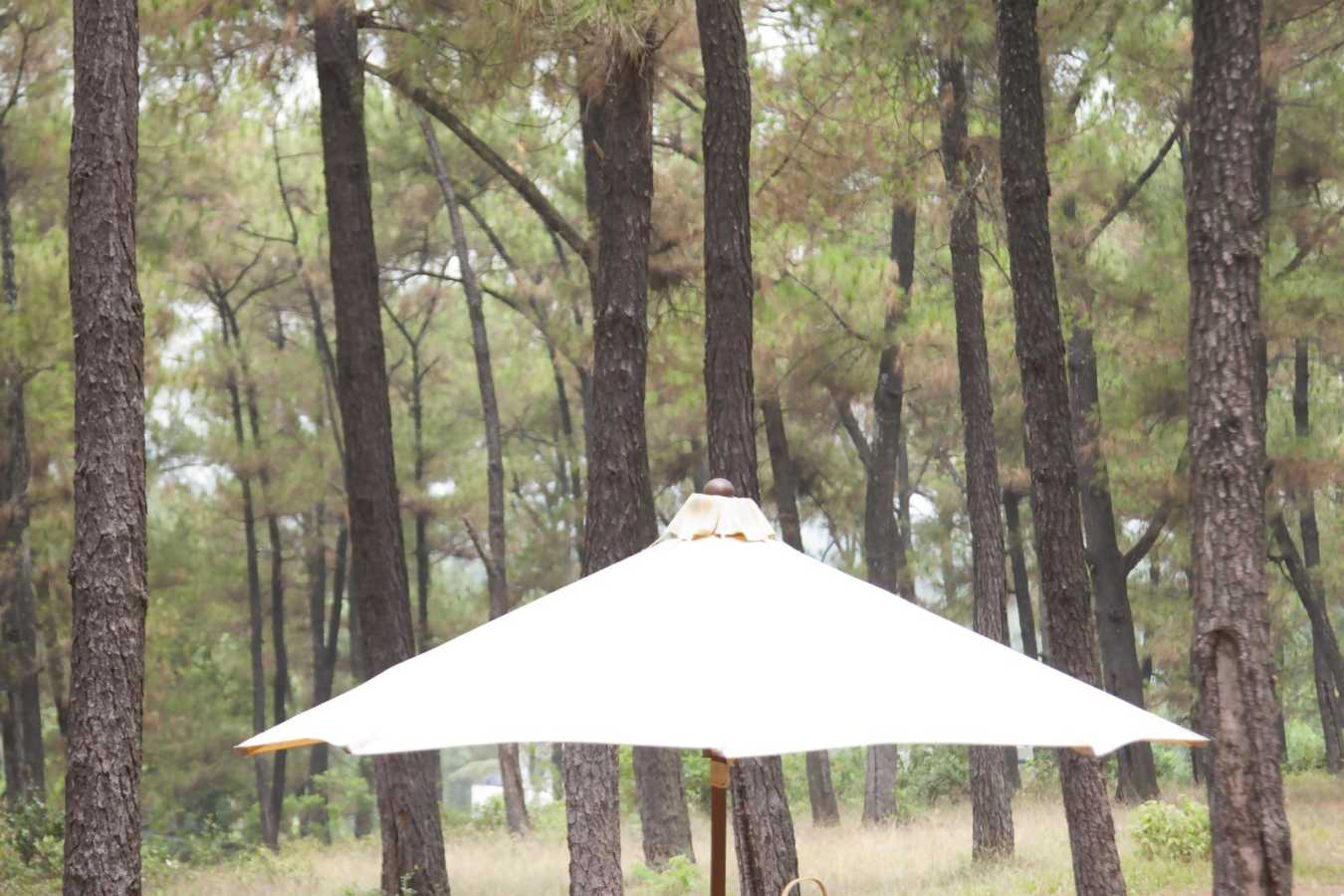 Thien An Hill Picnic - La Résidence Hôtel & Spa Hue